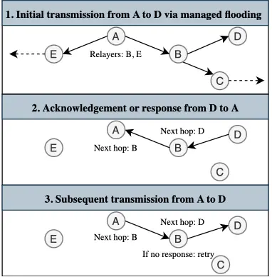 Next-Hop Routing